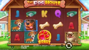 Слот The Dog House играть на деньги в казино PINCO